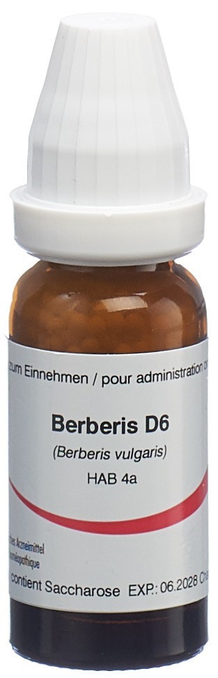 Omida Berberis 6 D, Hauptbild