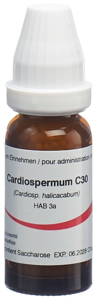 Omida Cardiospermum 30 C, Hauptbild