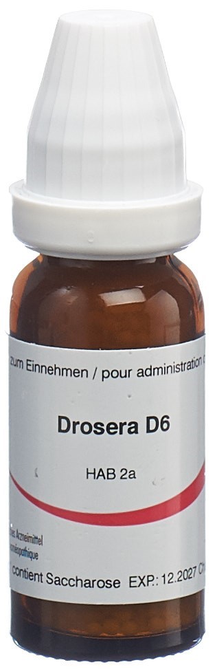 Omida Drosera 6 D