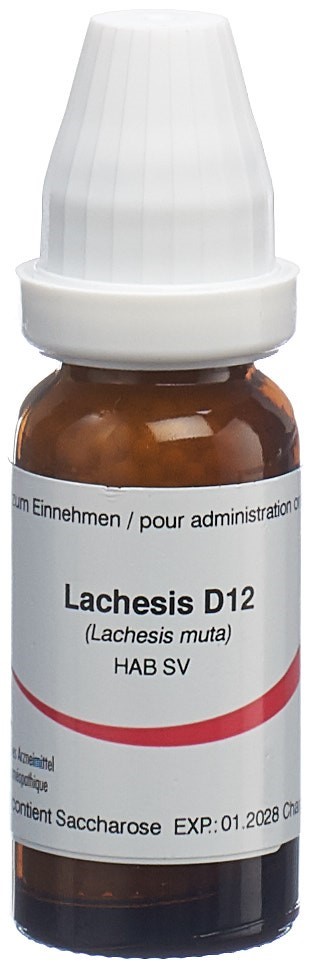 Omida lachesis 12 D, image principale
