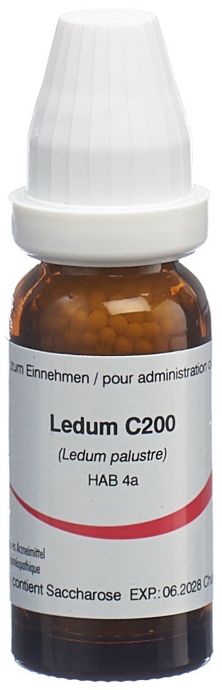 Omida ledum 200 C, image principale