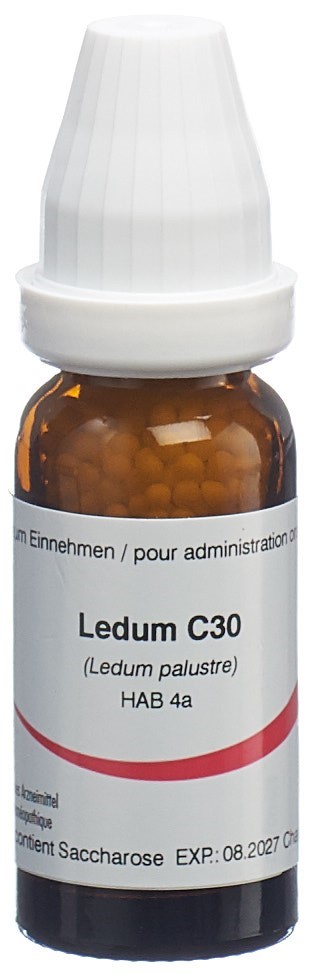 Omida ledum 30 C, image principale