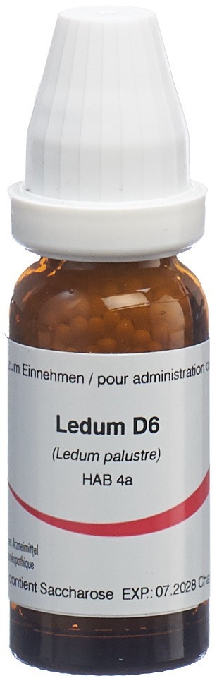 Omida ledum 6 D, image principale