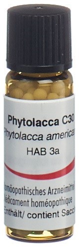 Omida phytolacca 30 C, image principale