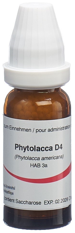 Omida phytolacca 4 D, image principale