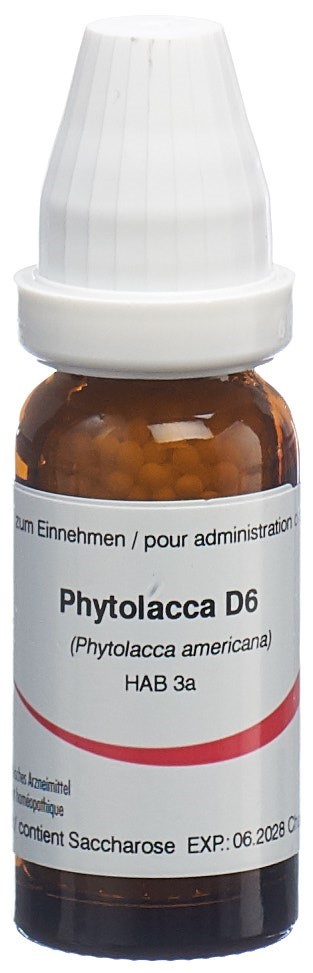 Omida phytolacca 6 D, image principale