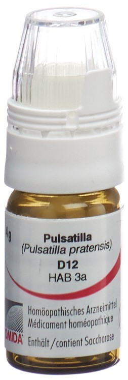 Omida Pulsatilla 12 D, Hauptbild