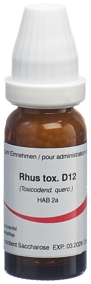 Omida rhus toxicodendron 12 D, image principale