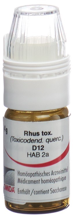 Omida rhus toxicodendron 12 D, image principale