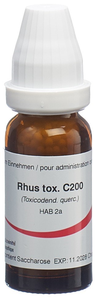 Omida rhus toxicodendron 200 C, image principale