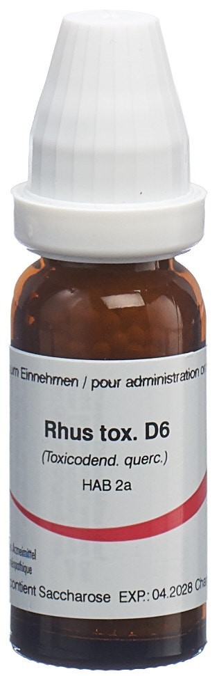 Omida rhus toxicodendron 6 D