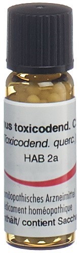Omida Rhus toxicodendron 30 C, Hauptbild