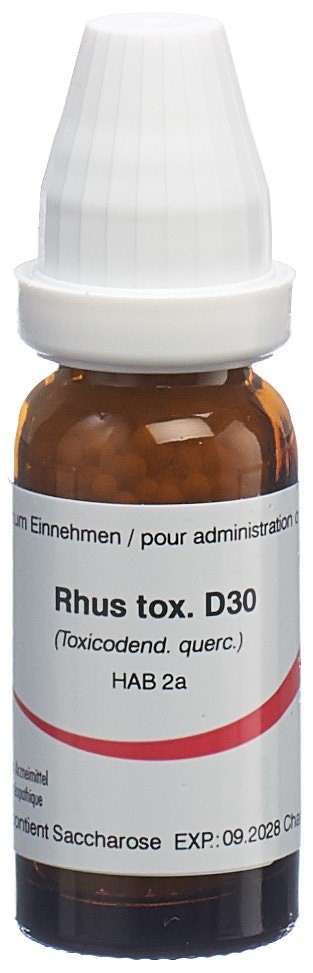 Omida Rhus toxicodendron 30 D, Hauptbild