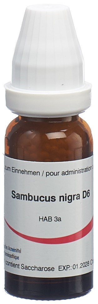 Omida sambucus nigra 6 D, image principale