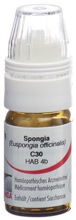 Omida spongia 30 C, image principale