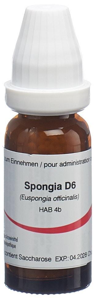 Omida spongia 6 D, image principale