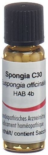 Omida Spongia 30 C, Hauptbild