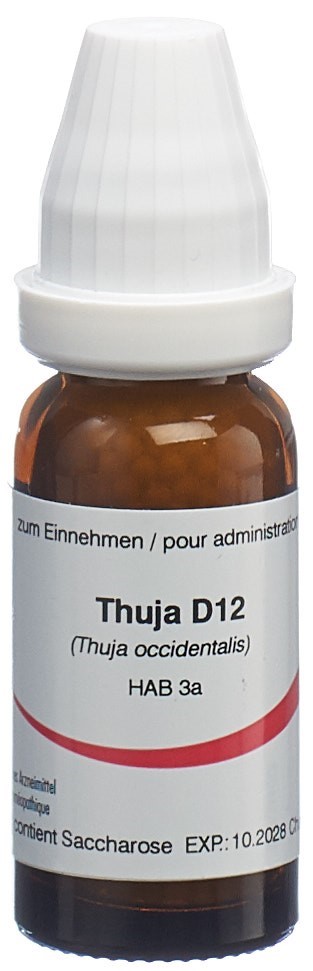 Omida thuja 12 D, image principale