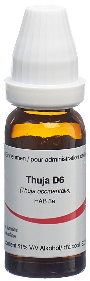 Omida thuja 6 D, image principale