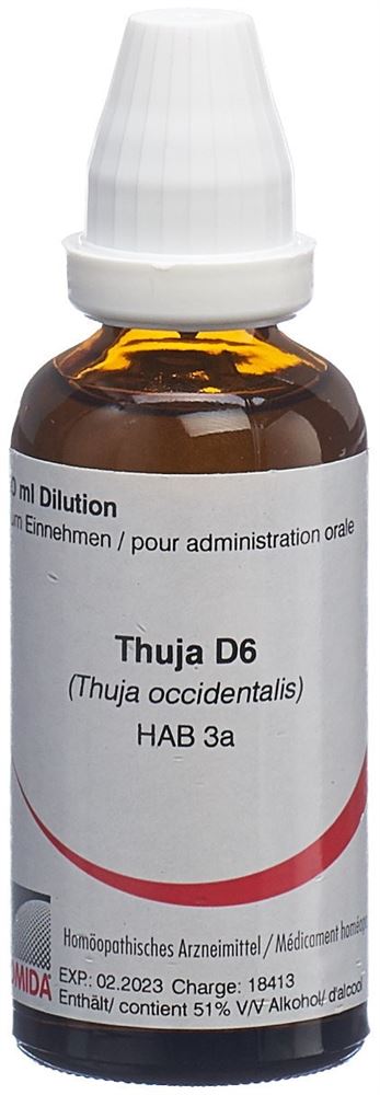 Omida thuja 6 D, image principale