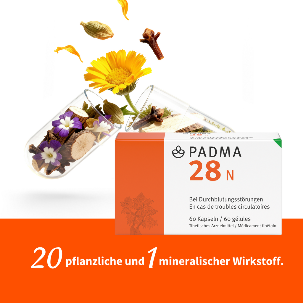 PADMA 28 N, image 3 sur 4