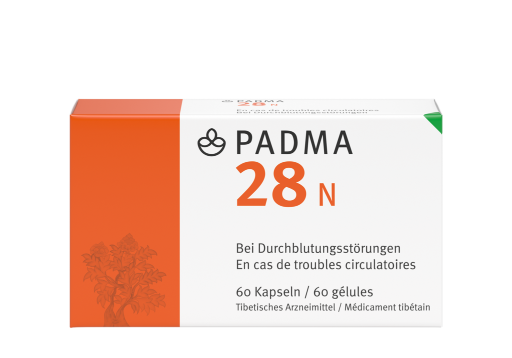 PADMA 28 N, image principale