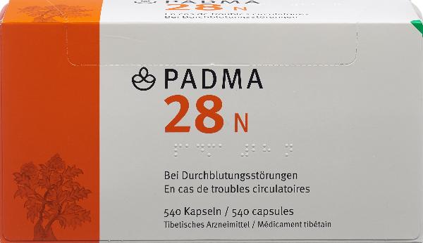 PADMA 28 N, Hauptbild