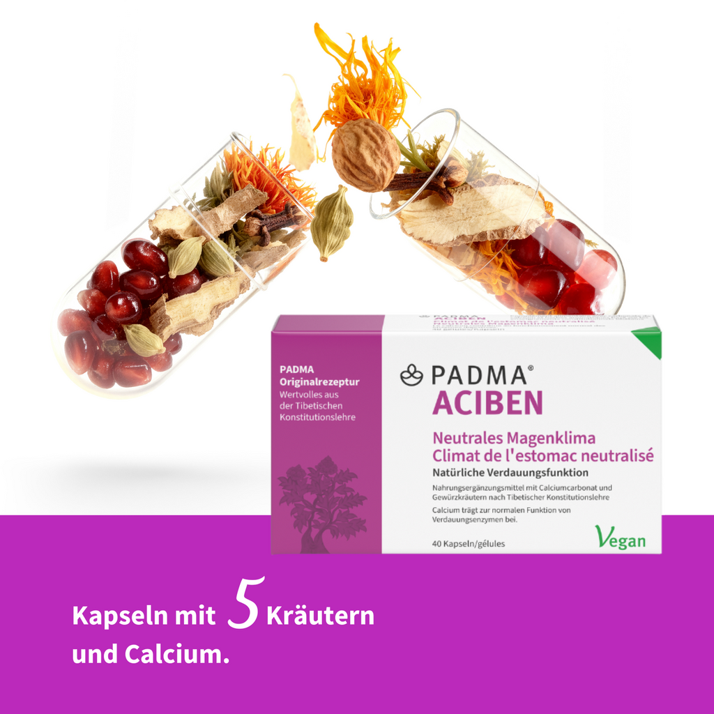PADMA ACIBEN, image 3 sur 6