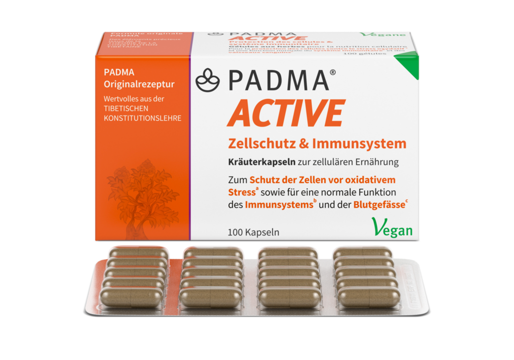 PADMA ACTIVE, image 2 sur 6