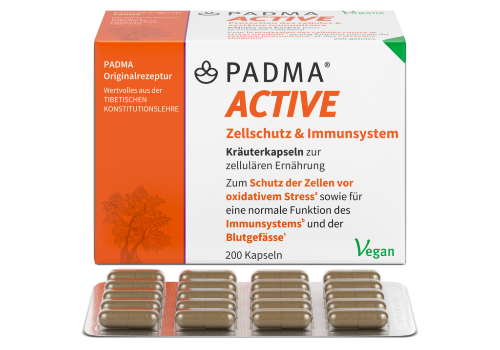 PADMA ACTIVE, image 2 sur 6