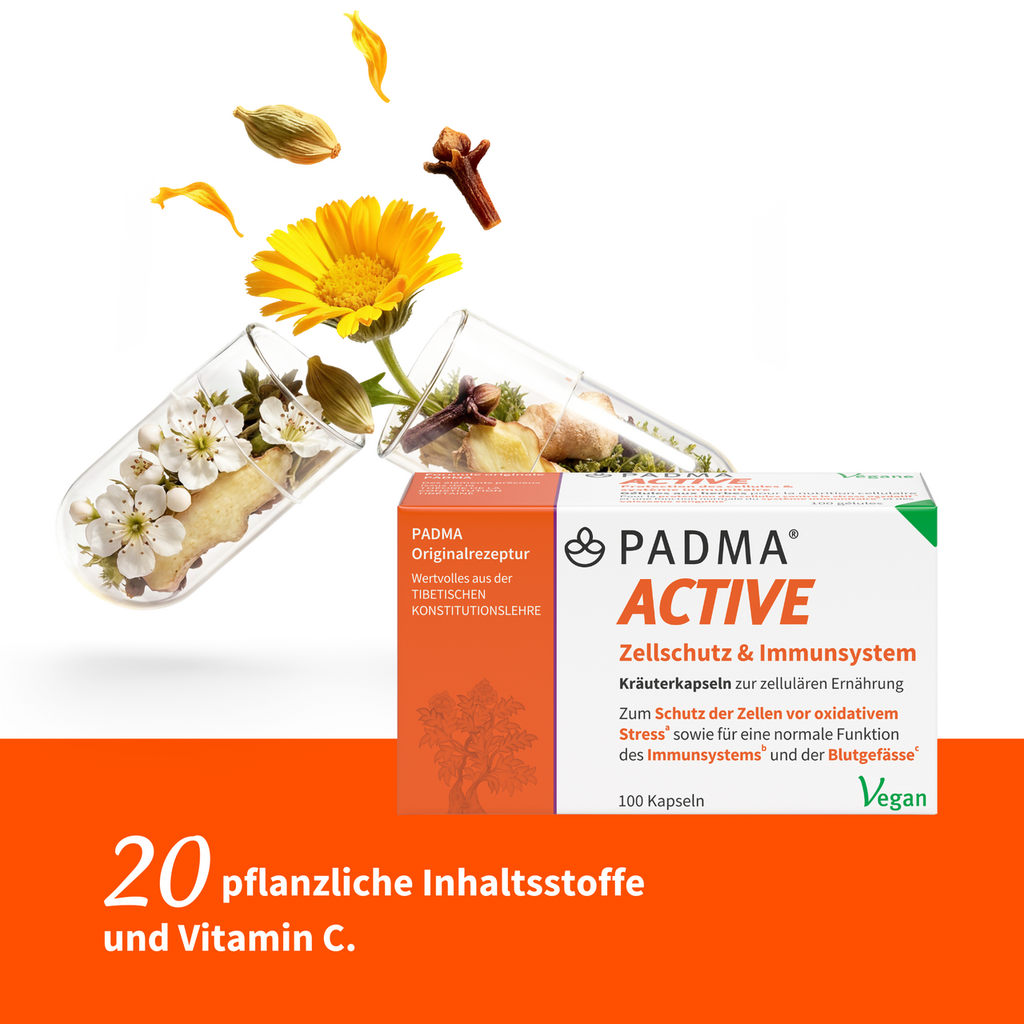PADMA ACTIVE, image 3 sur 6