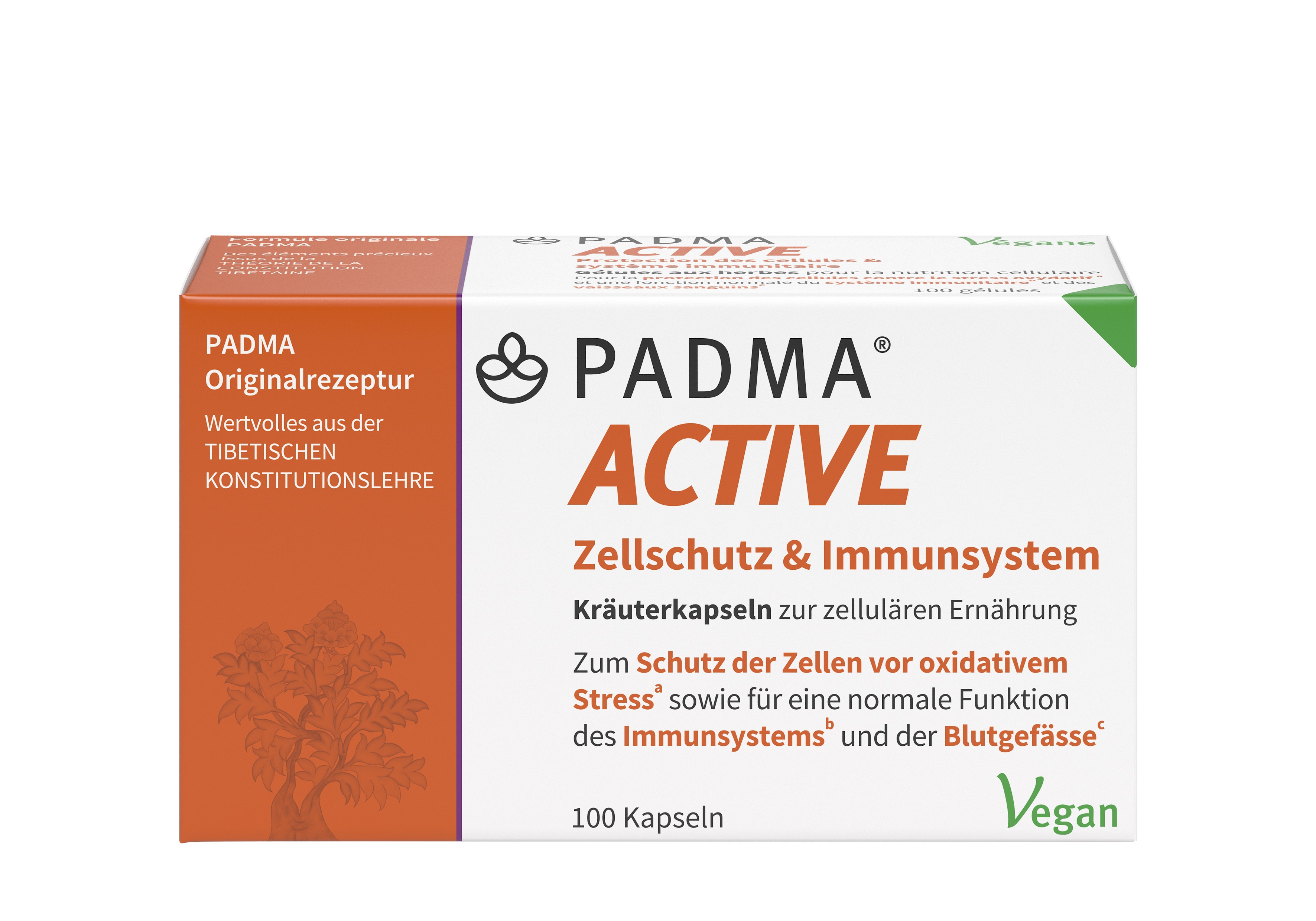 PADMA ACTIVE, Hauptbild