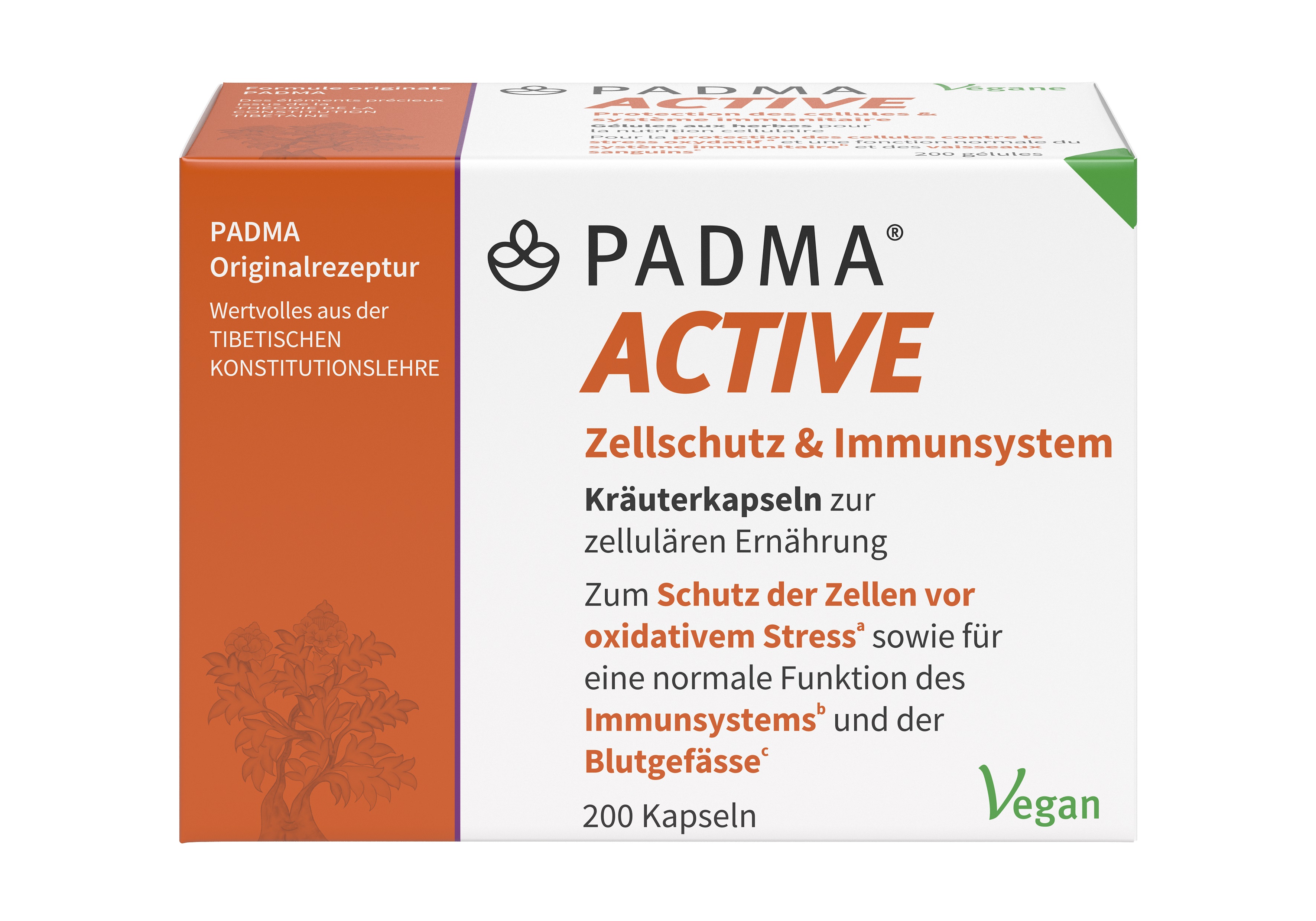 PADMA ACTIVE, Hauptbild