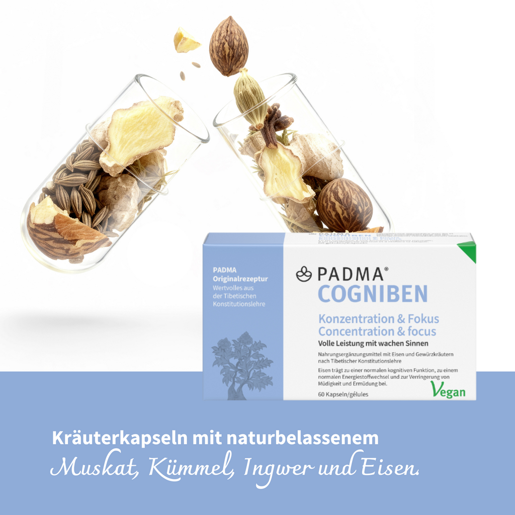 PADMA COGNIBEN, image 3 sur 6