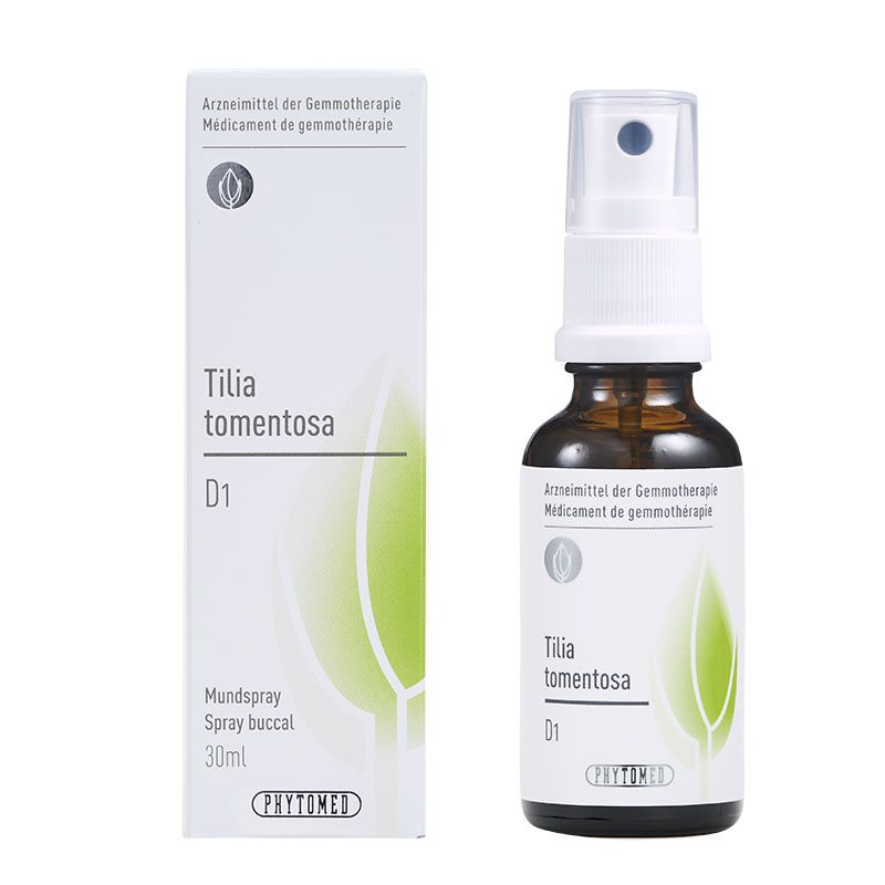 , immagine principale