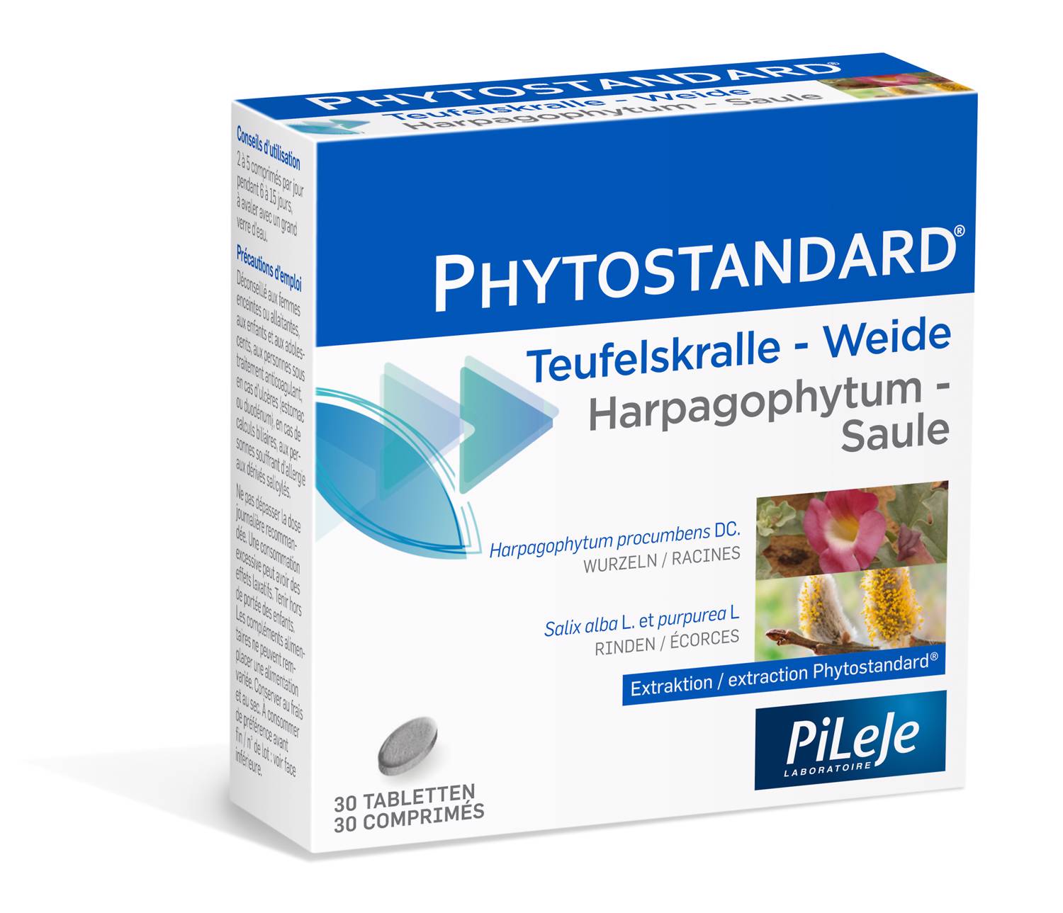 PHYTOSTANDARD Teufelskralle-Weide