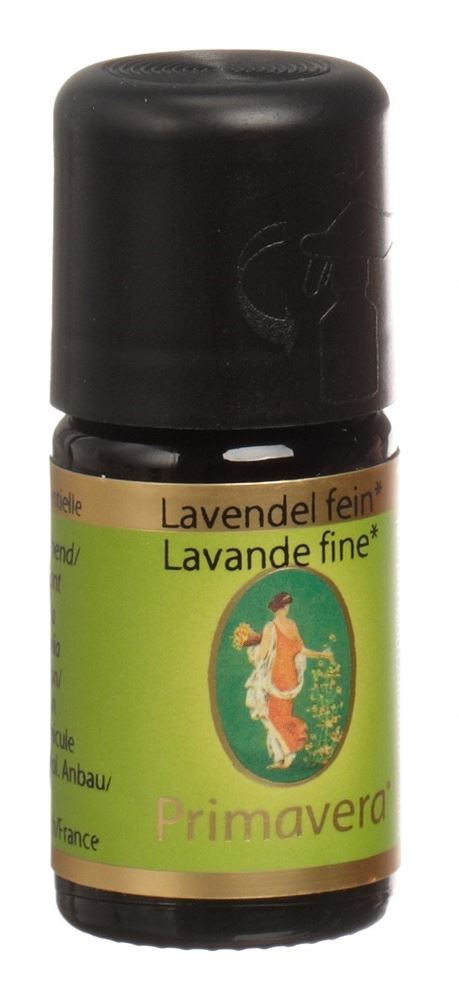 Primavera lavande fine