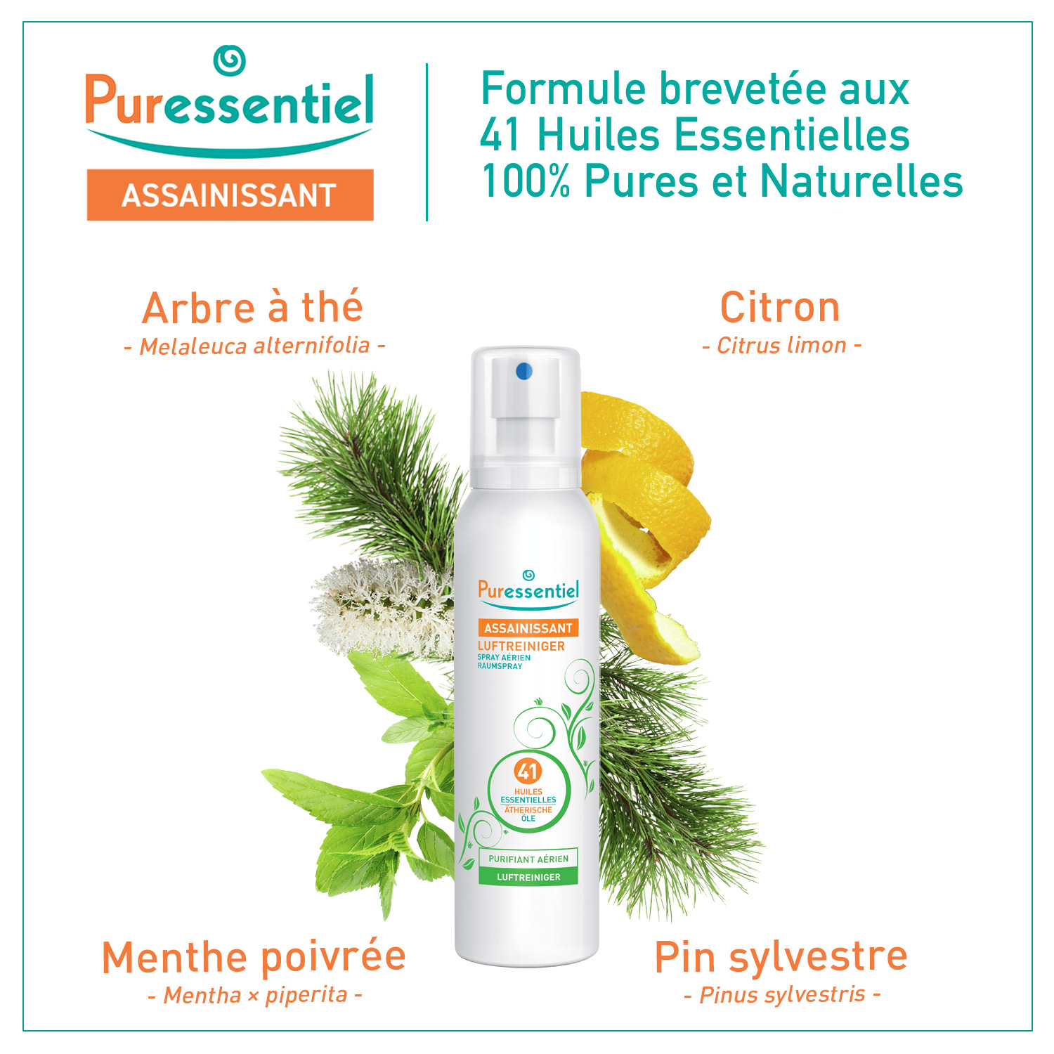 Puressentiel Reinigender Luftspray, Bild 4 von 6