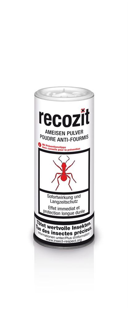 RECOZIT poudre fourmis