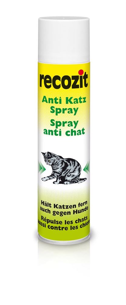 spray anti chat/chien