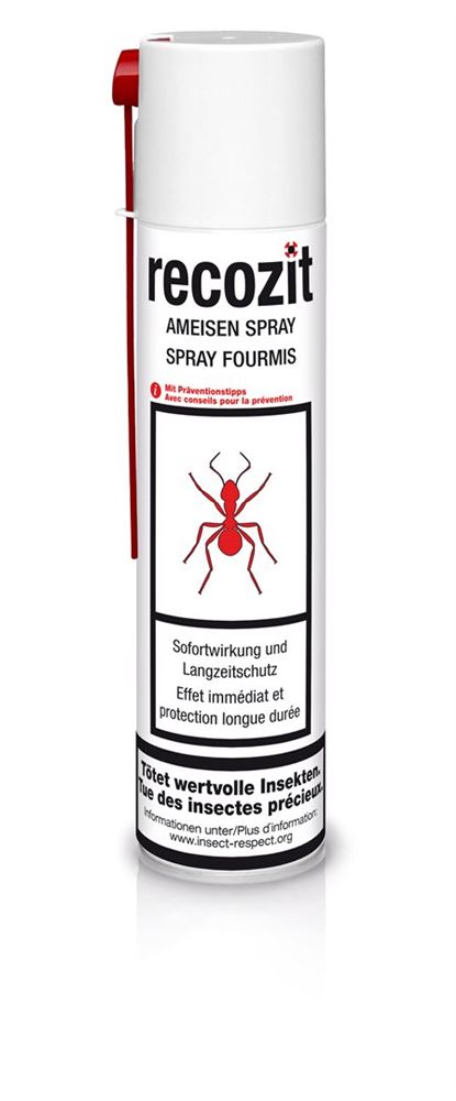 RECOZIT spray fourmis