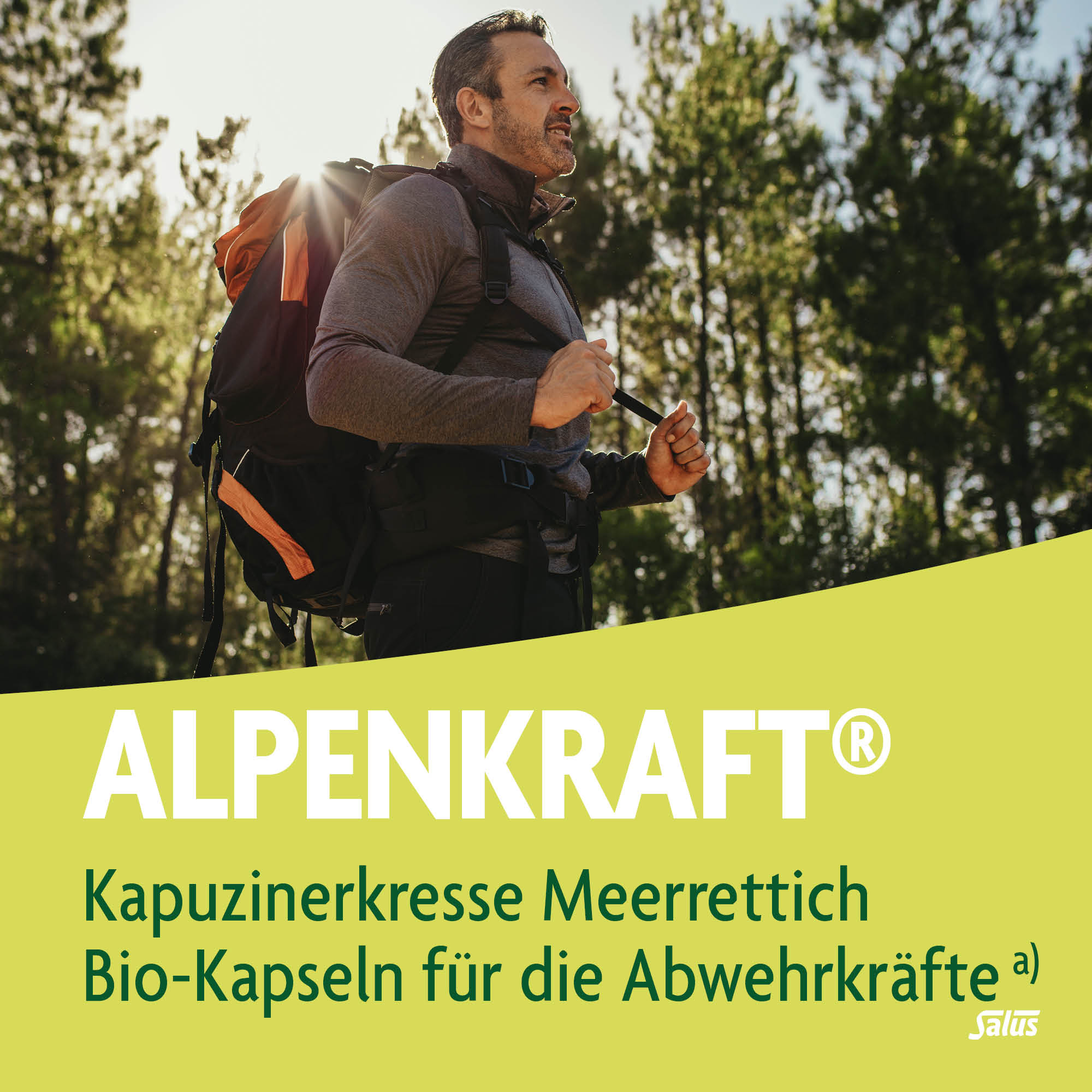 SALUS Alpenkraft Kapuzinerkresse-Meerrettich, Bild 2 von 5
