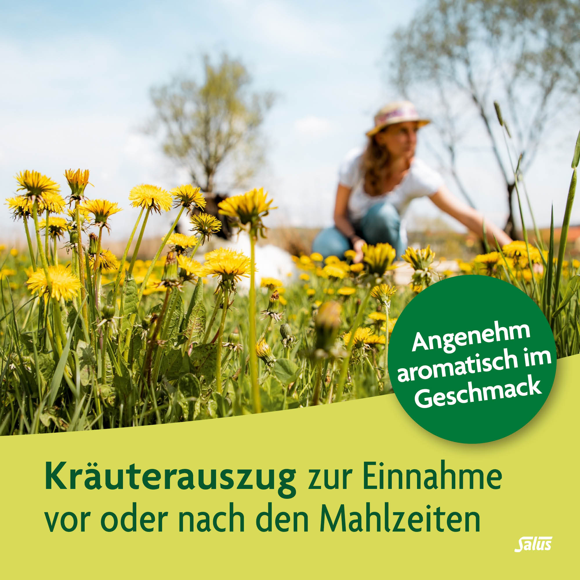 , immagine 3 di 6