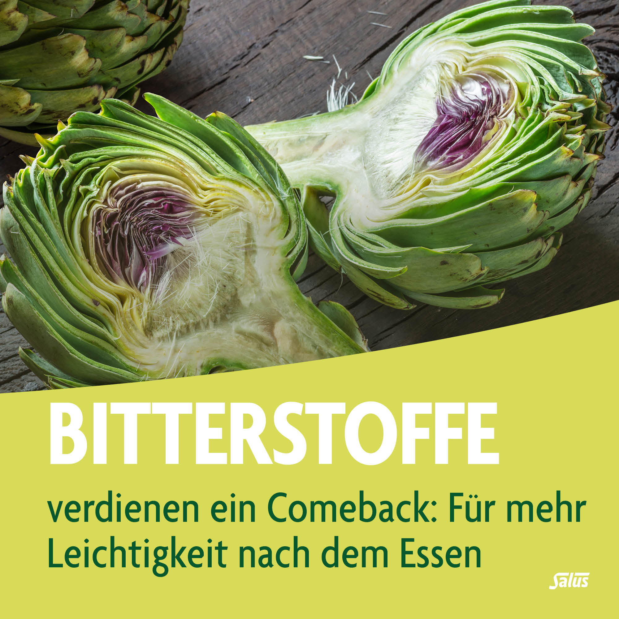 SALUS Artischocken Bitter Elixier, Bild 2 von 6
