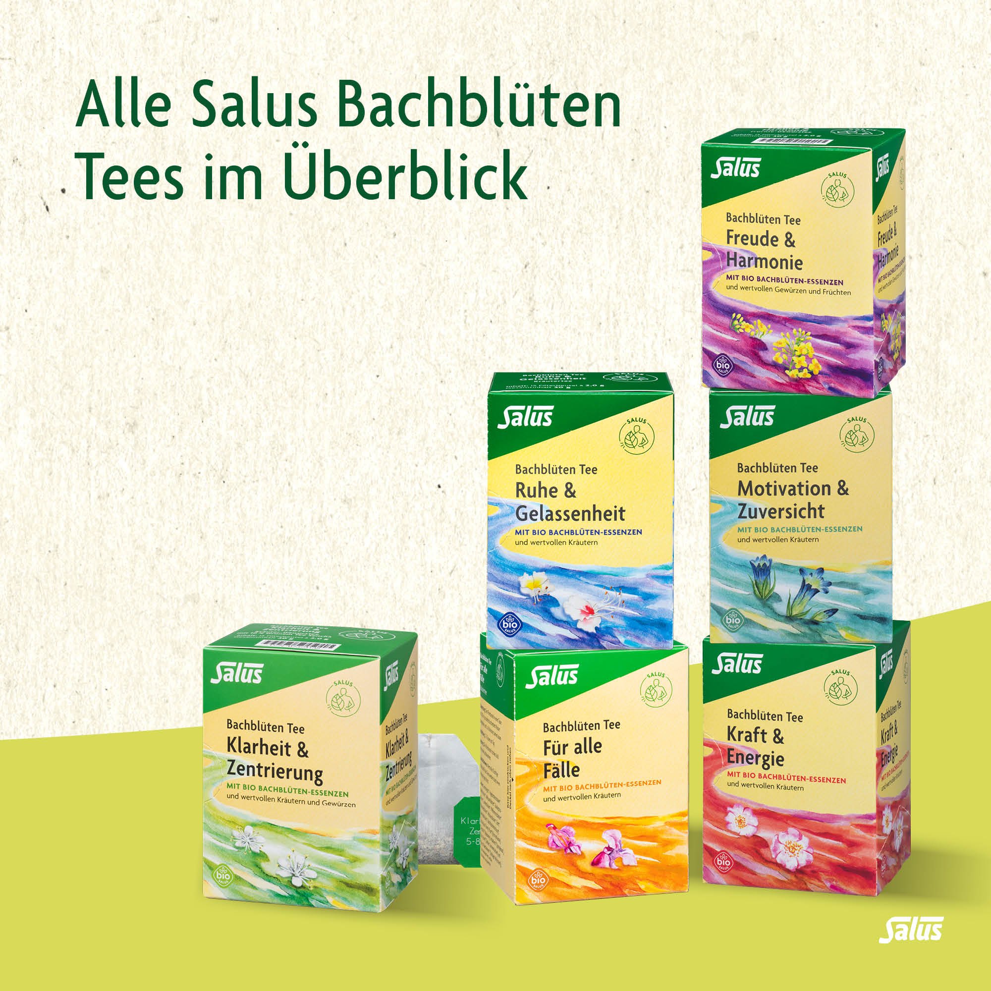 SALUS Bachblüten Tee, Bild 5 von 6