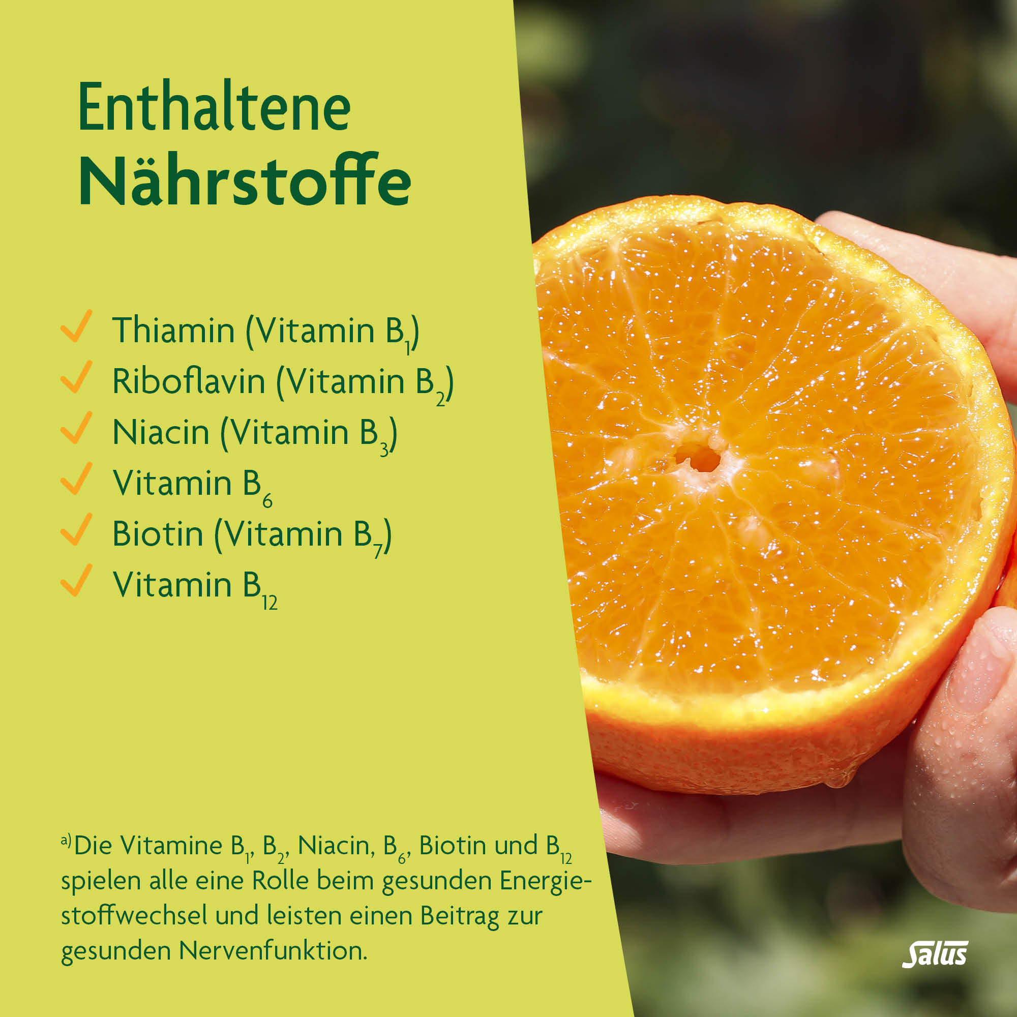SALUS Complexe de vitamines B, image 4 sur 6