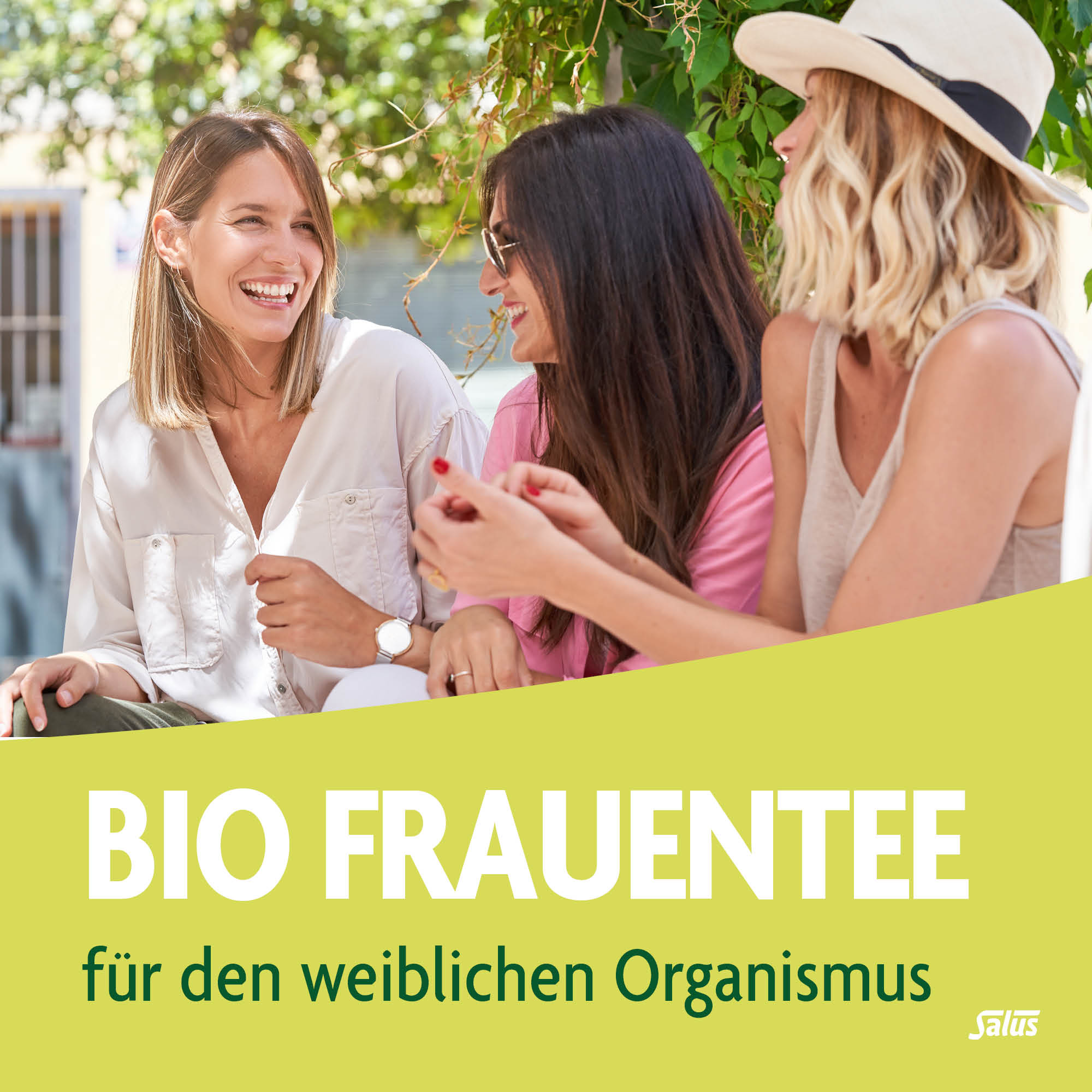 SALUS Frauentee, Bild 2 von 5