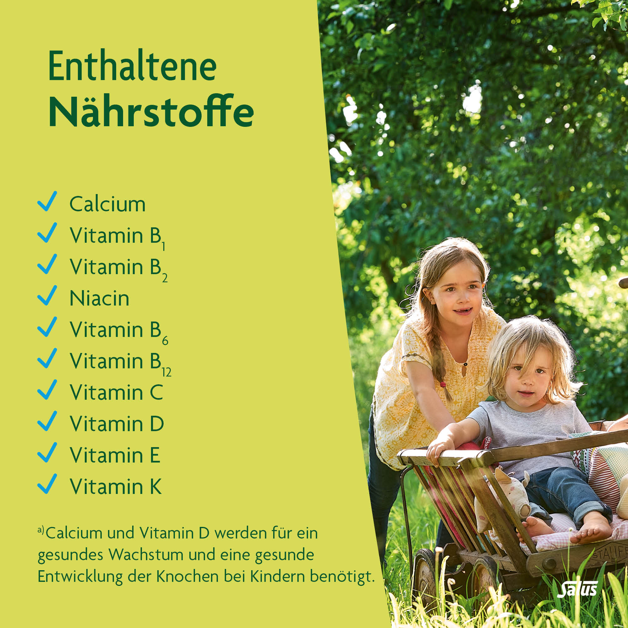 SALUS Kindervital multivitamines calcium tonique, image 5 sur 6