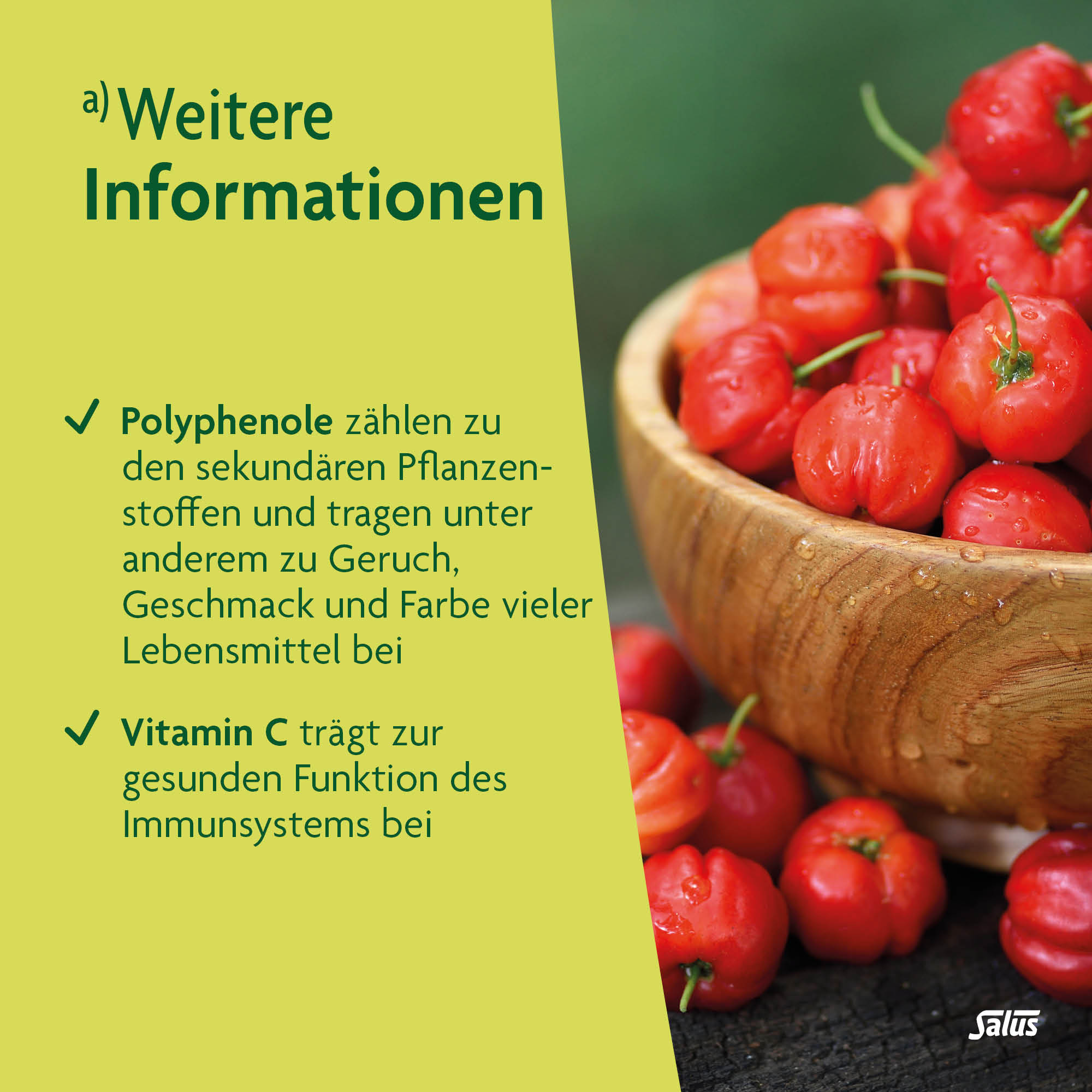 SALUS Kraft der Natur Tee, Bild 4 von 6