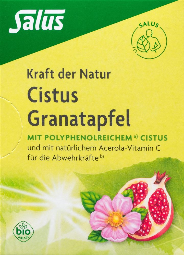 SALUS Kraft der Natur Tee